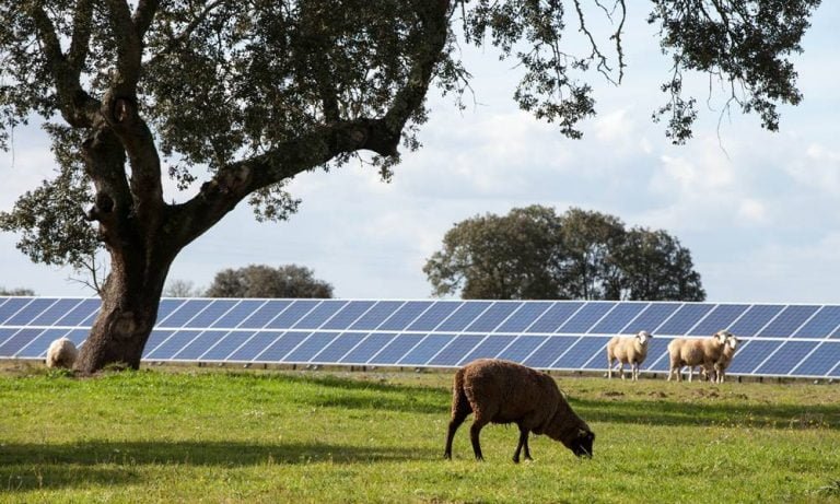 SolarPower Europe CEO’su Hemetsberger’den GES Dergisi’ne özel açıklamalar