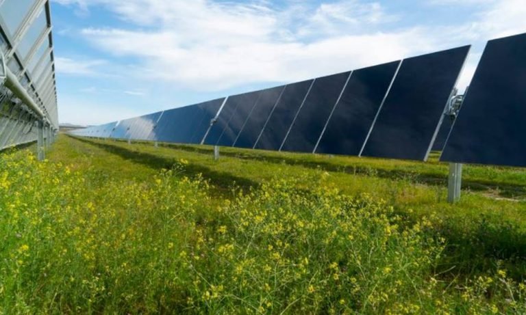 First Solar’dan yenilenebilir enerji taahhüdü