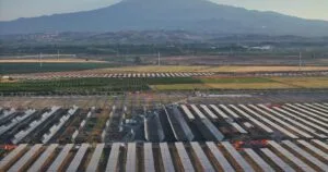Nadara'nın Sicilya'daki 227 MW'lık agrivoltaik santralinin havadan görünümü