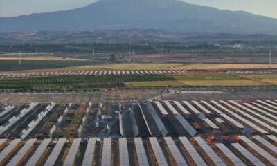 Nadara'nın Sicilya'daki 227 MW'lık agrivoltaik santralinin havadan görünümü