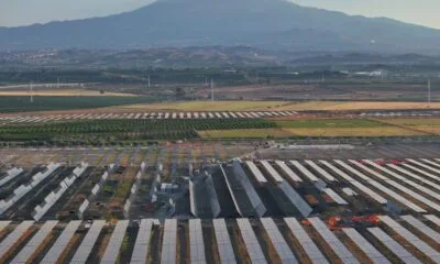 Nadara'nın Sicilya'daki 227 MW'lık agrivoltaik santralinin havadan görünümü